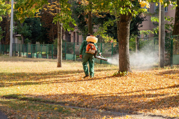 Best Commercial Pest Control Services  in Kitsap Lake, WA